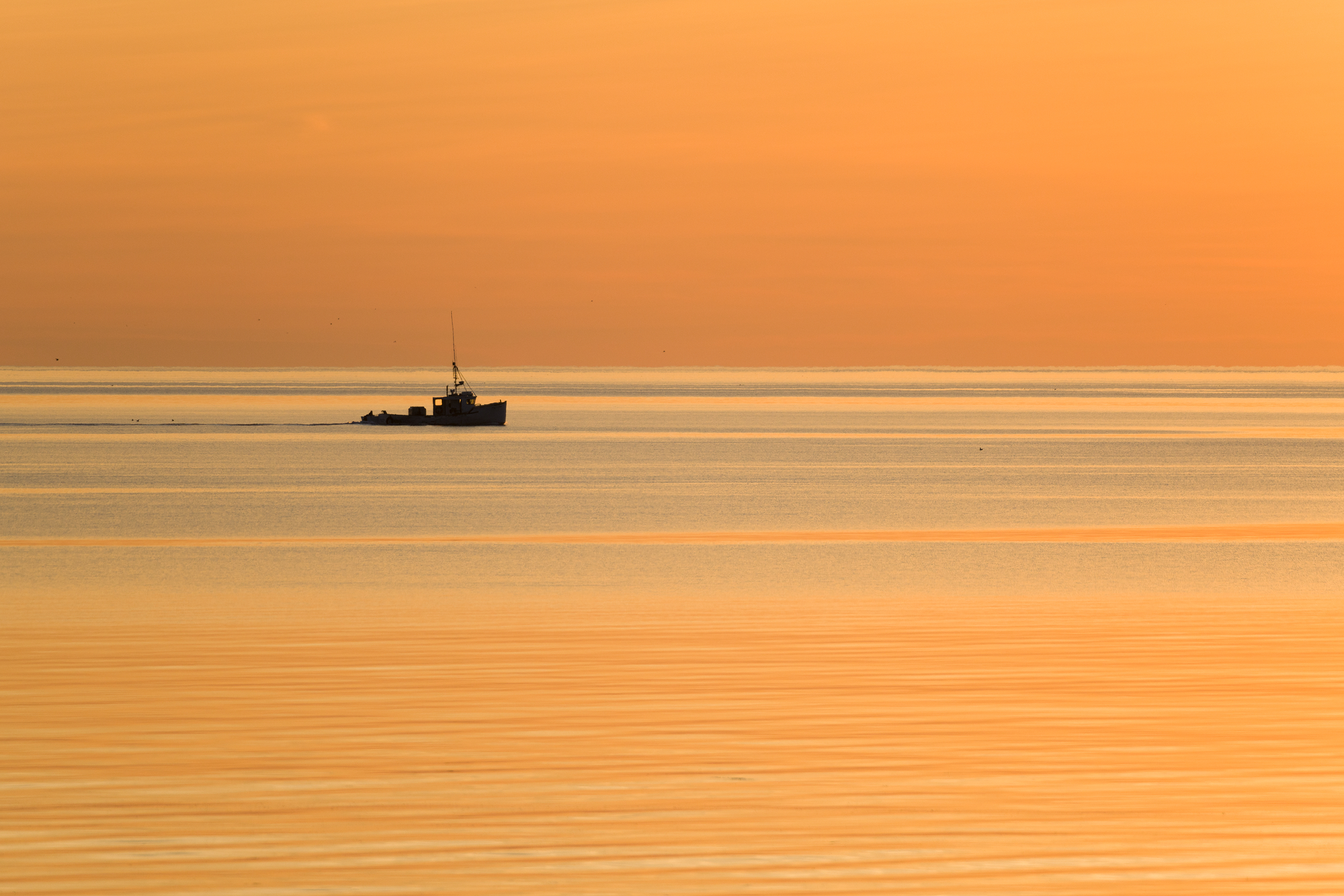 Lobster Boat Sunrise