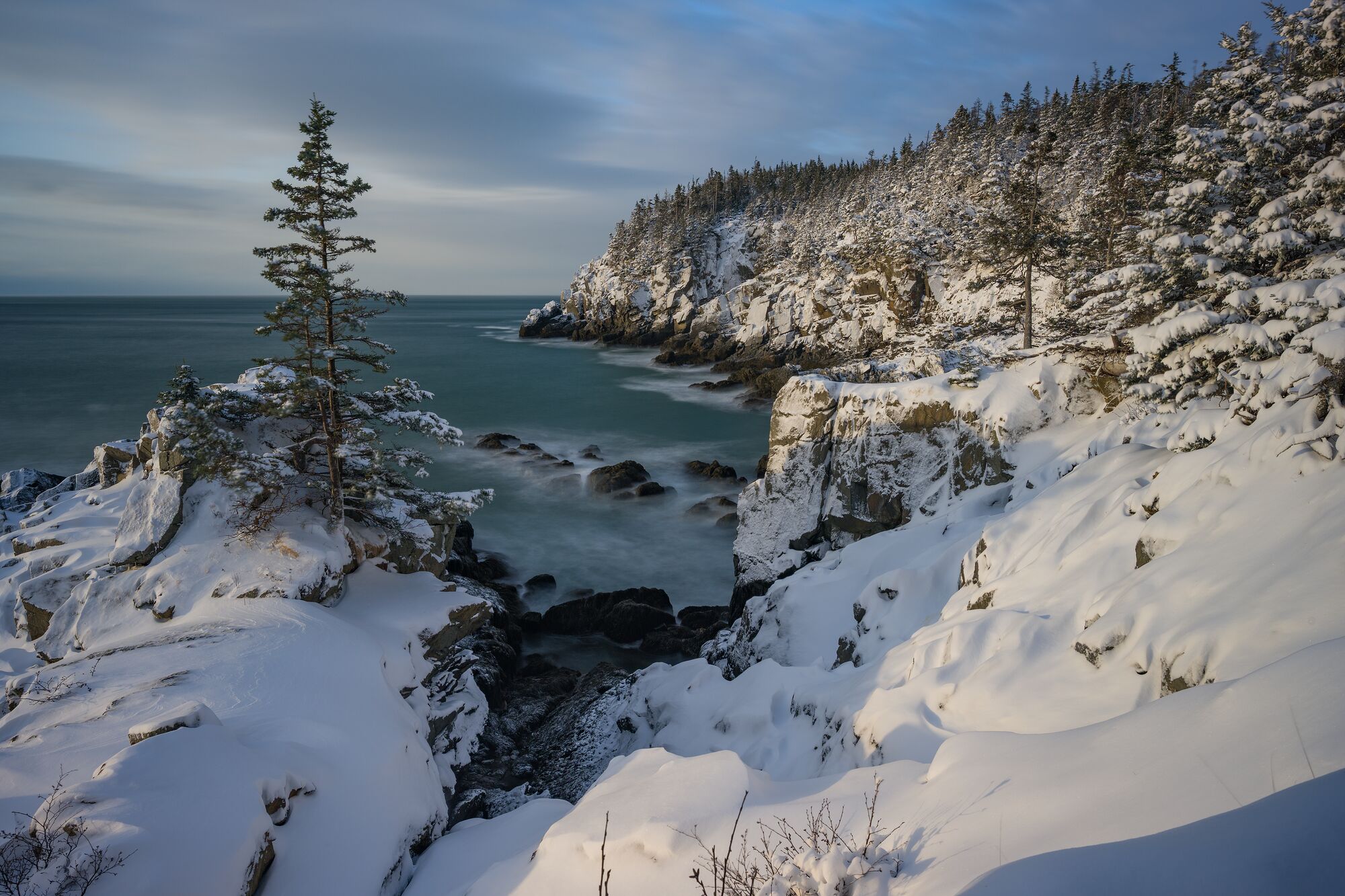 Snow on the Coast of Maine