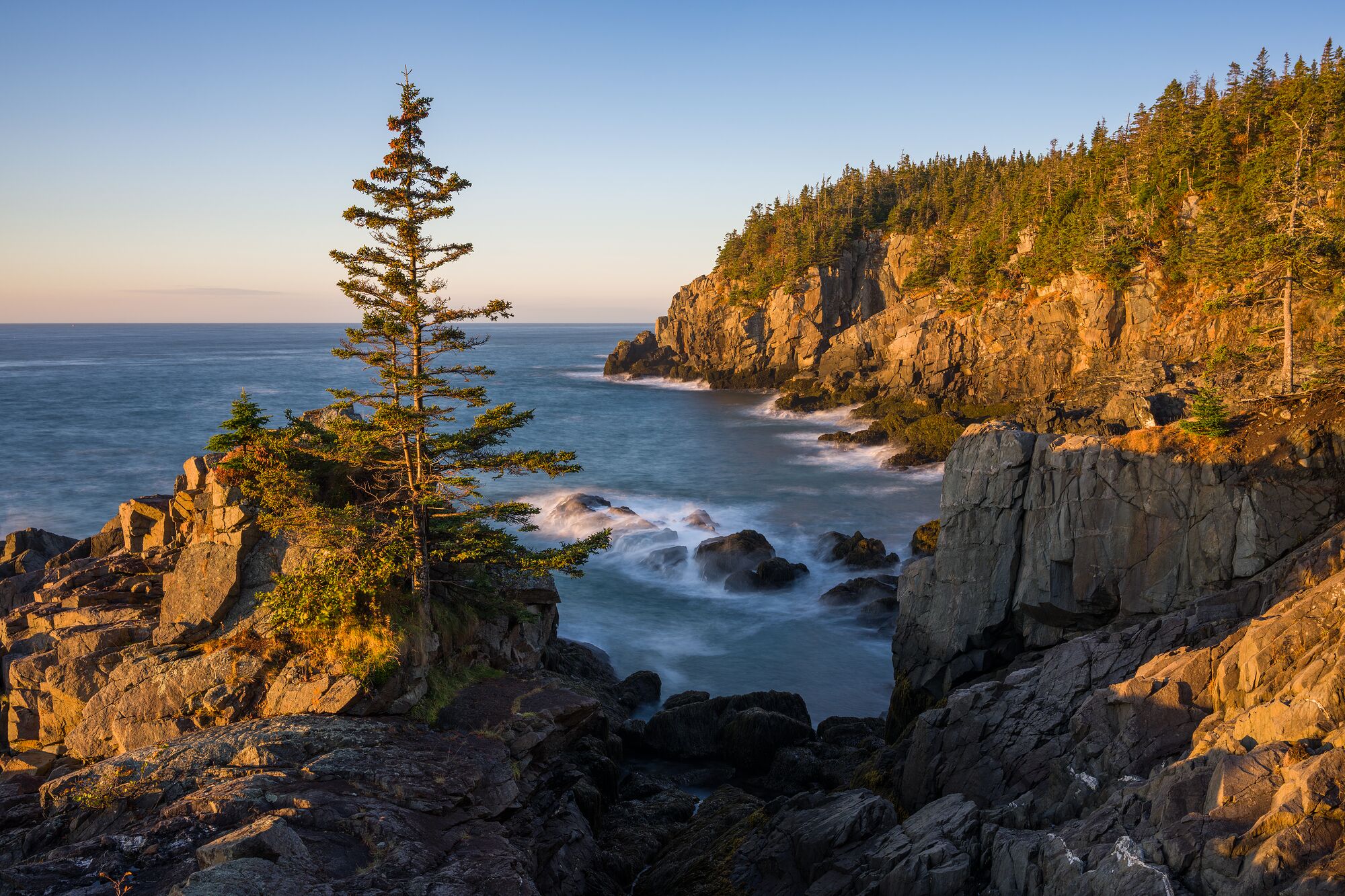 Ocean Cliffs at Sunrise