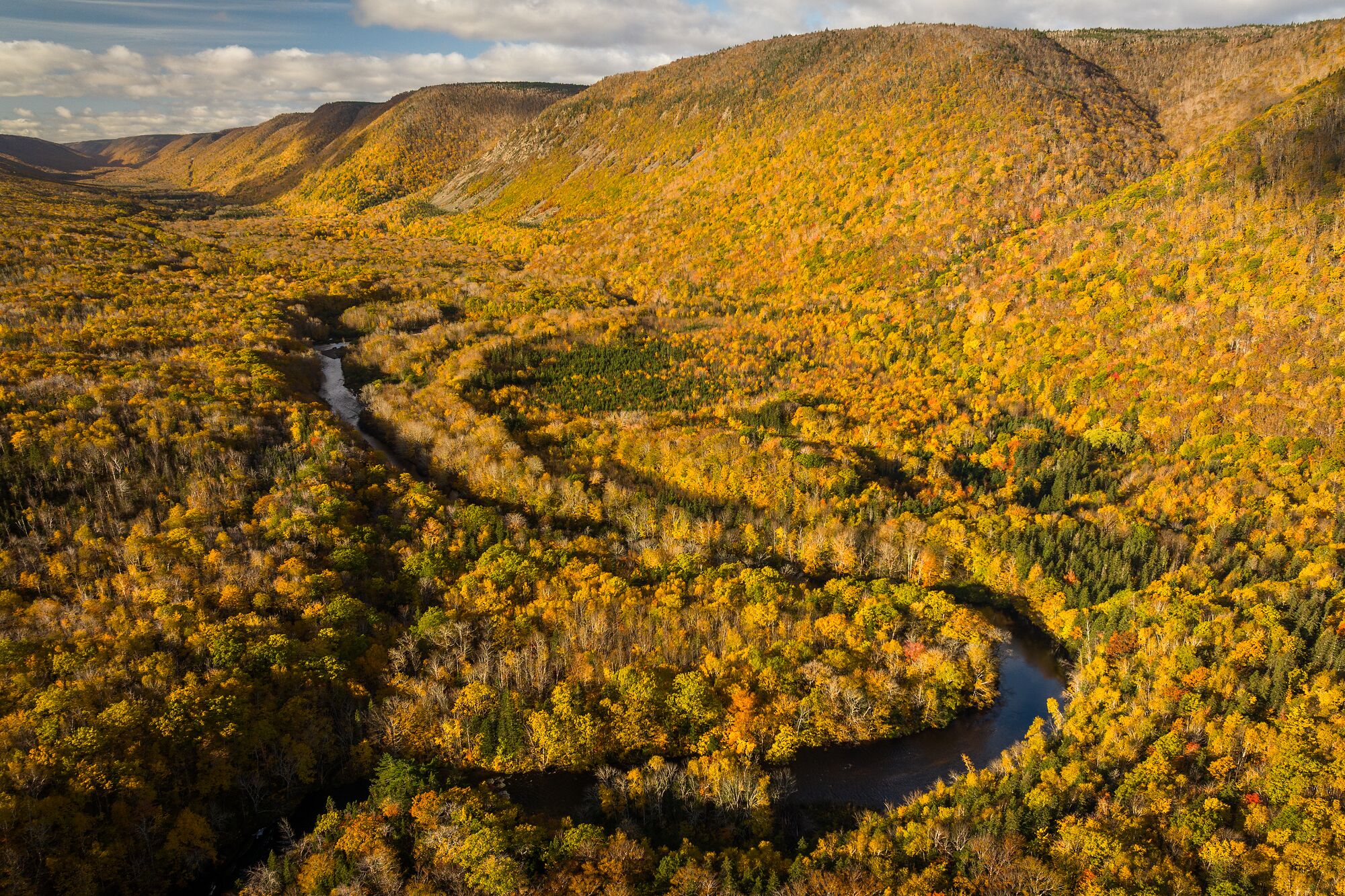 Cape Breton Highlands Fall Aerial