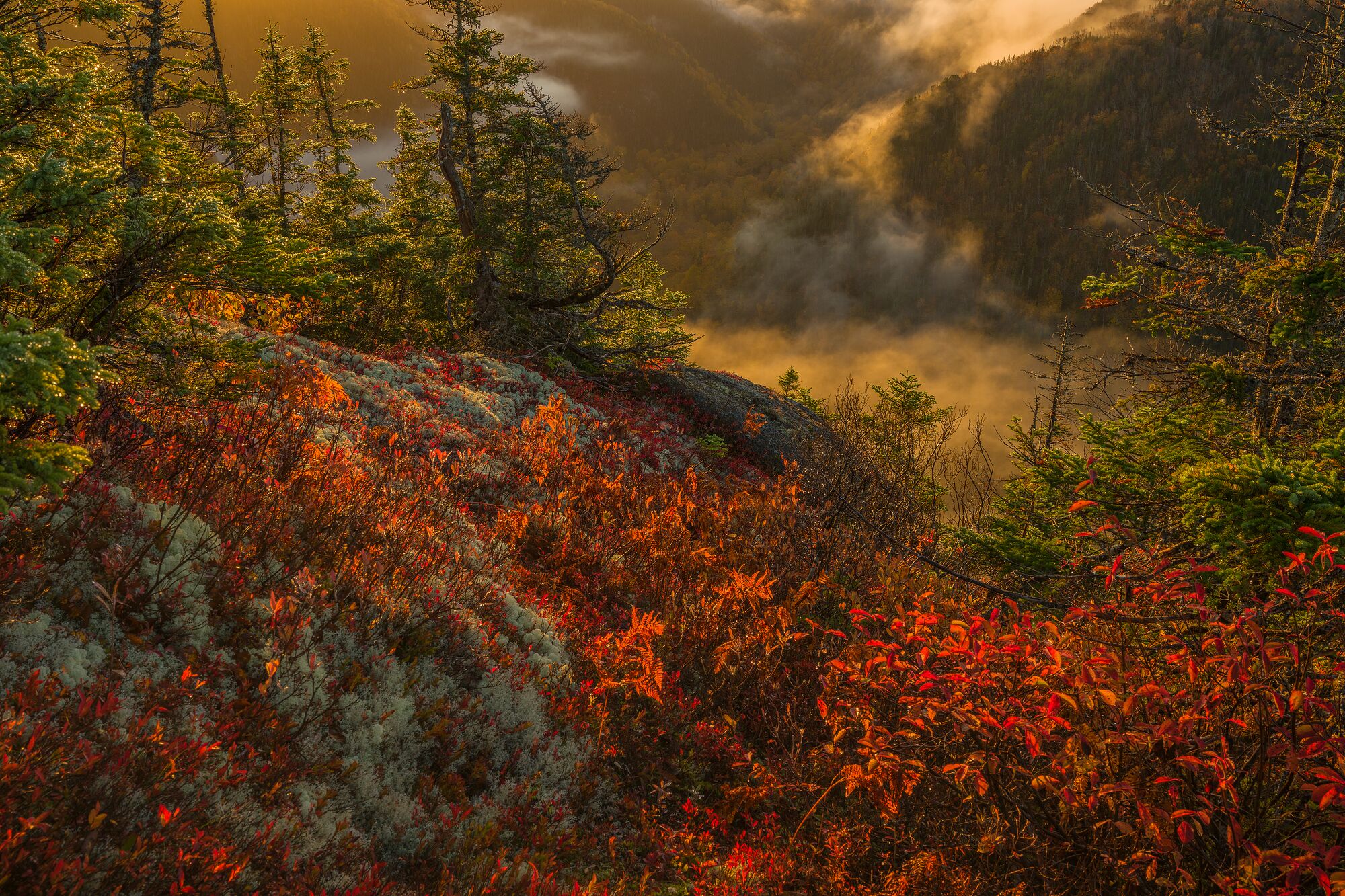 Cape Breton Highlands