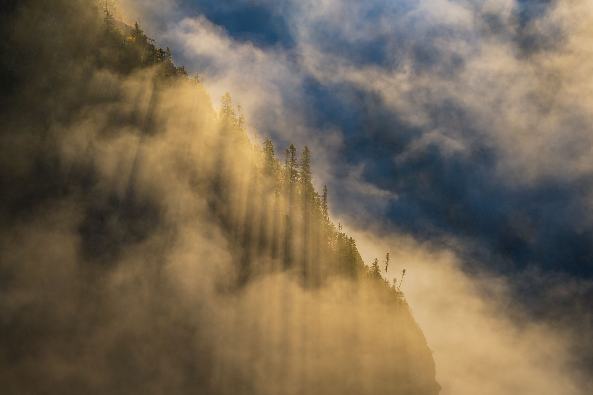 Morning Light in the Highlands