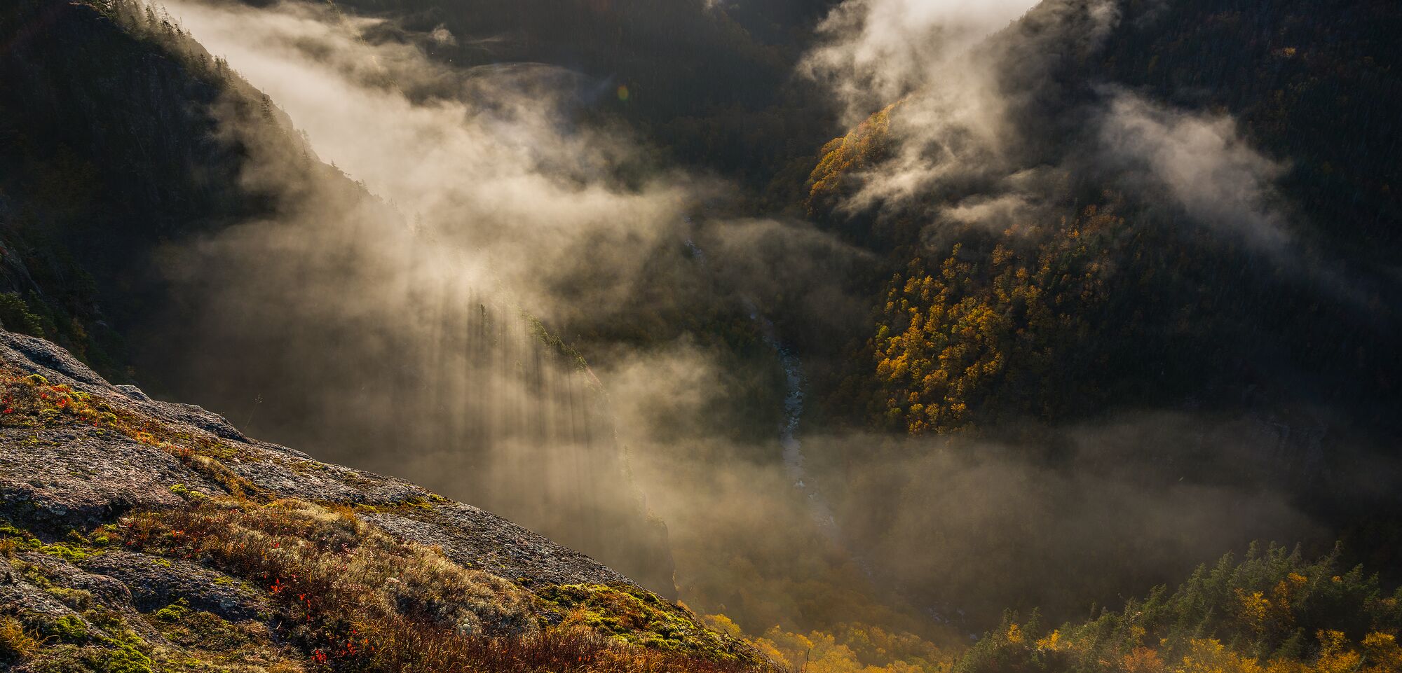 Cape Breton Highlands