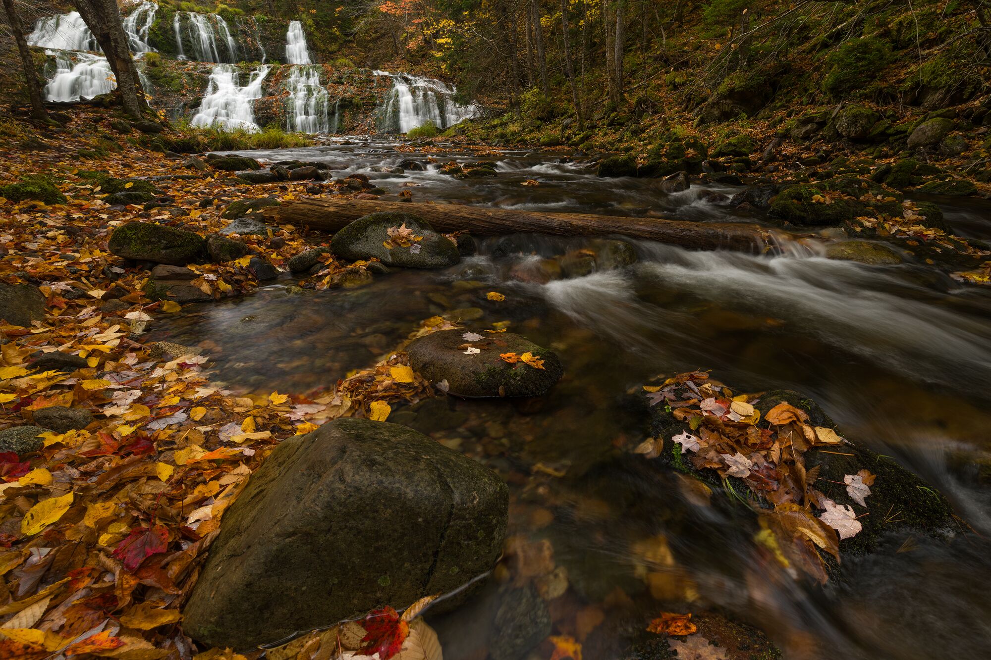 Egypt Falls in Autumn