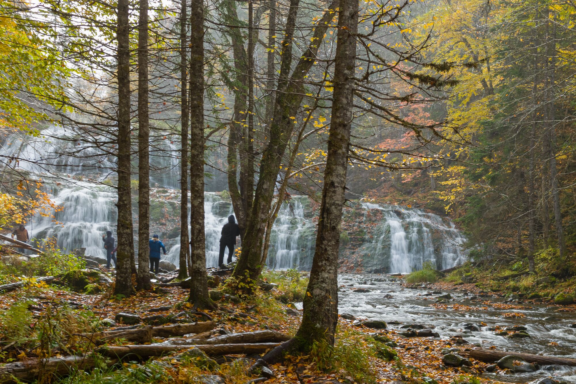 Egypt Falls in Autumn