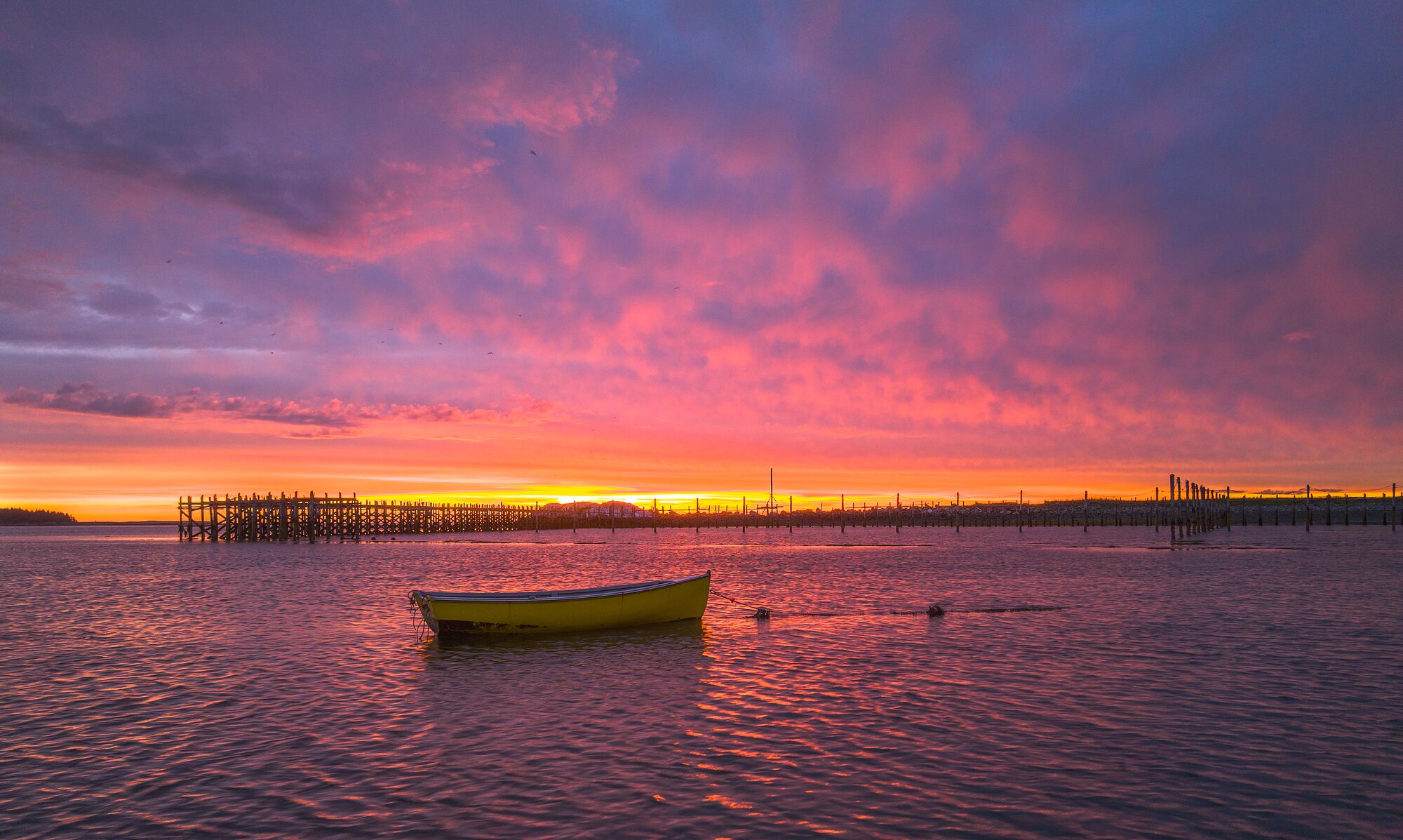 Sunrise Dory