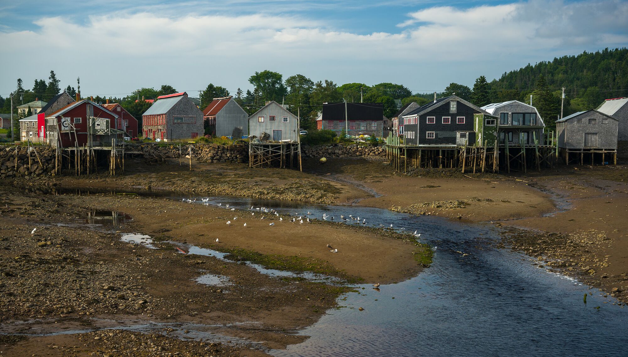 Low Tide at Seal Cove