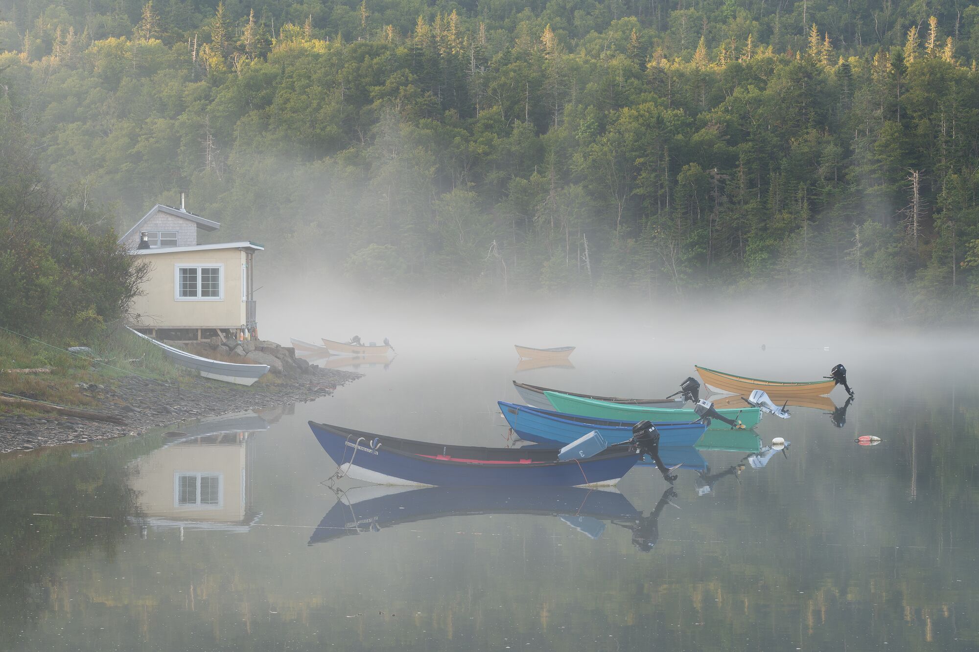 Foggy Sunrise at Dark Harbour
