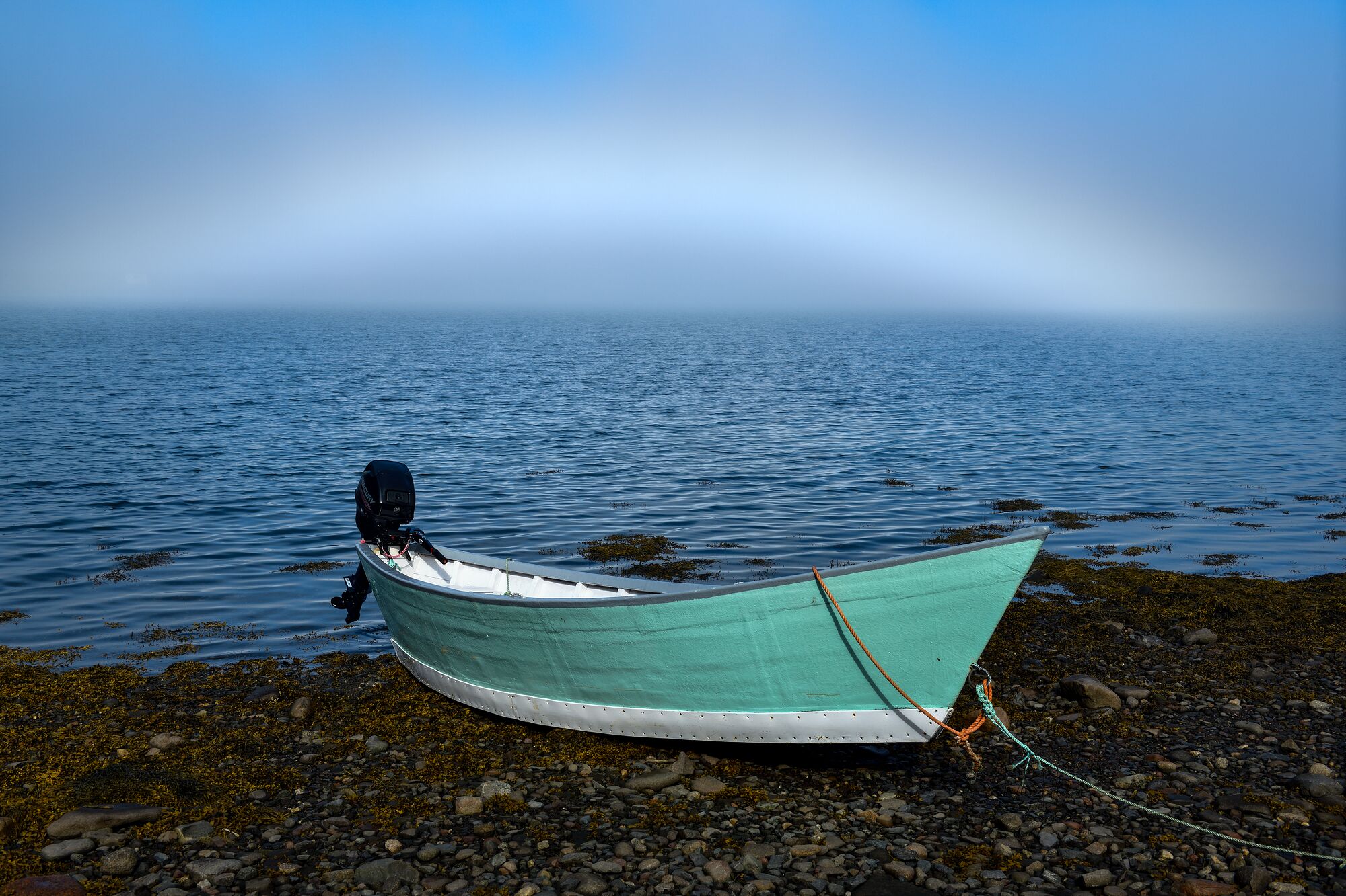 Dory Fogbow