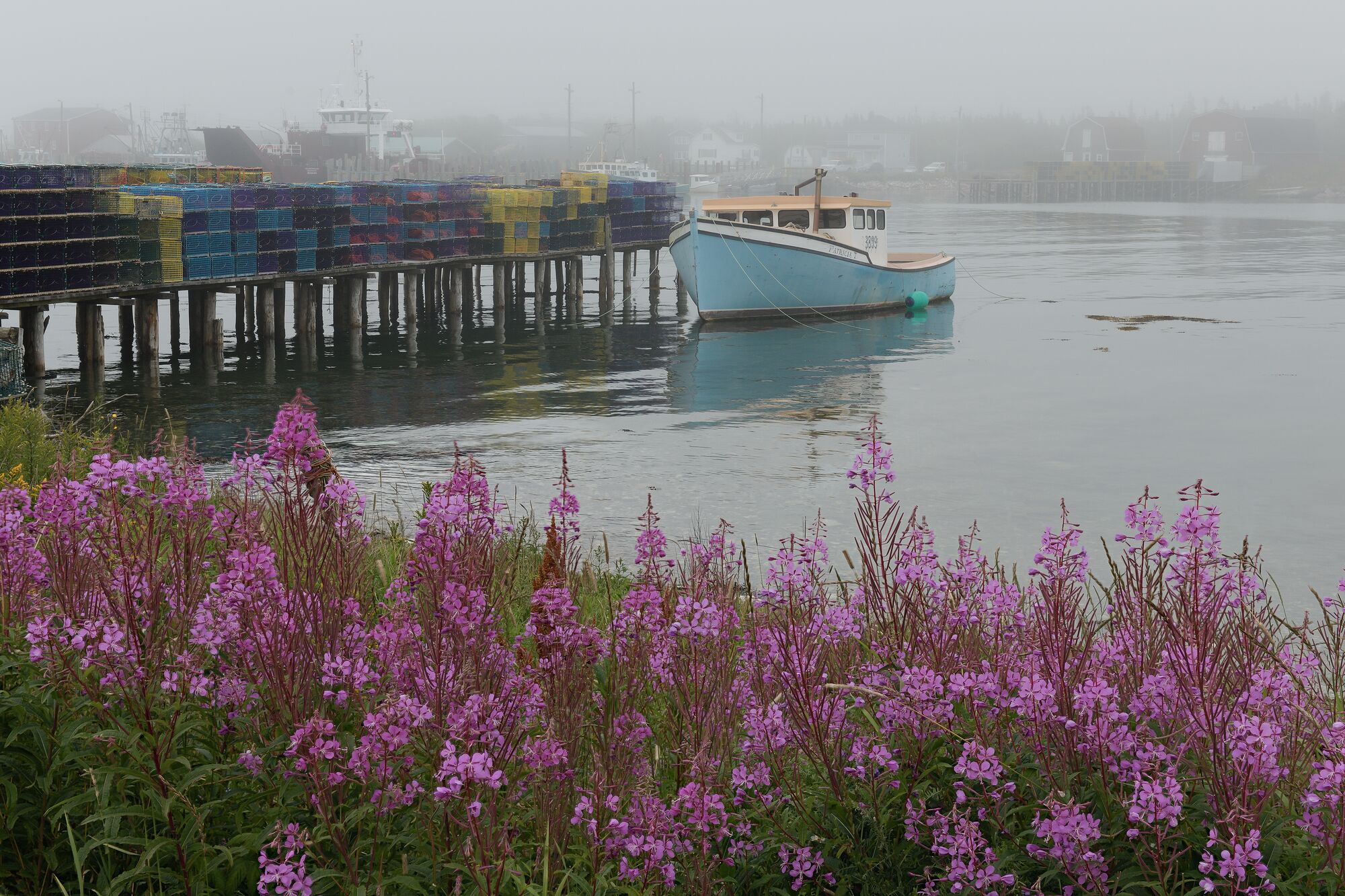 Fireweed and Lobster Boat in Fog