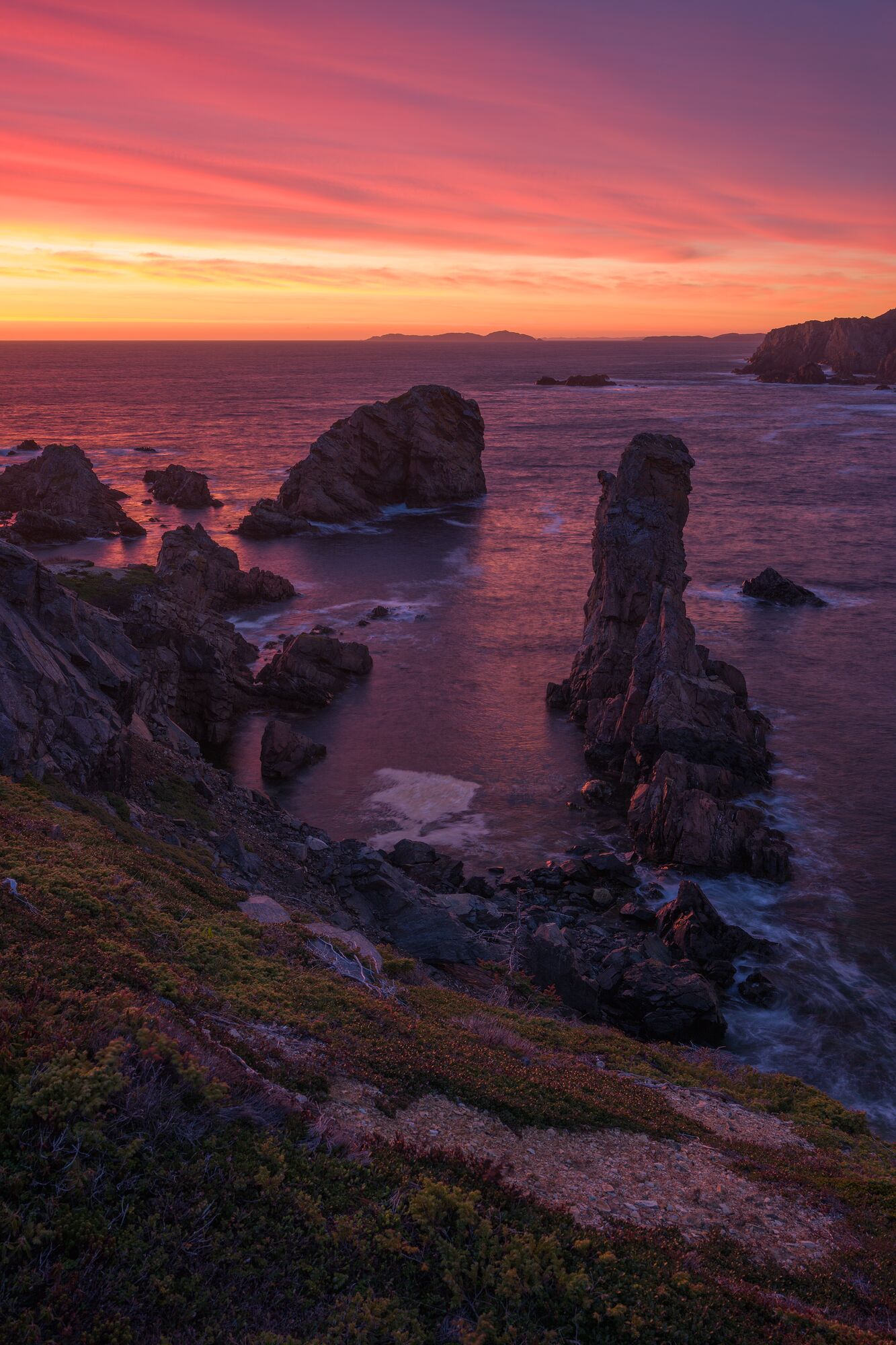 Newfoundland Sunrise
