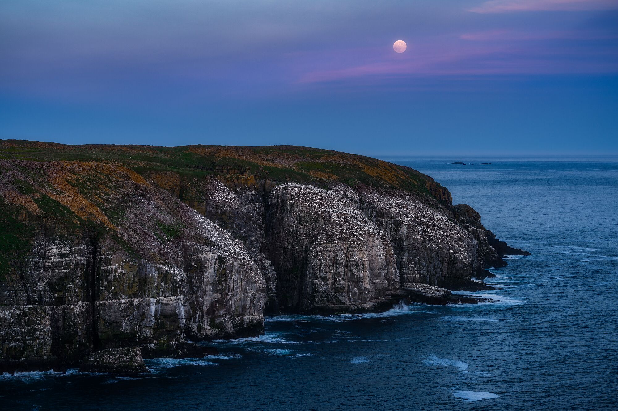 Moonrise at Cape St. Mary's