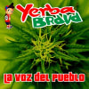 lo mejor del 2019 Yerba Brava 2018