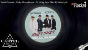 Shaky Shaky Remix