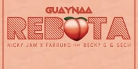 Guaynaa rebota remix