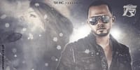 reggaeton 2014