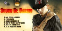 parulo producciones