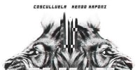 Reggaeton 2013