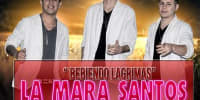 jackita la mara santos 2013