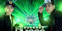 Los Unicos
