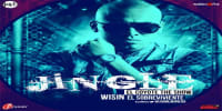 Wisin El Sobreviviente