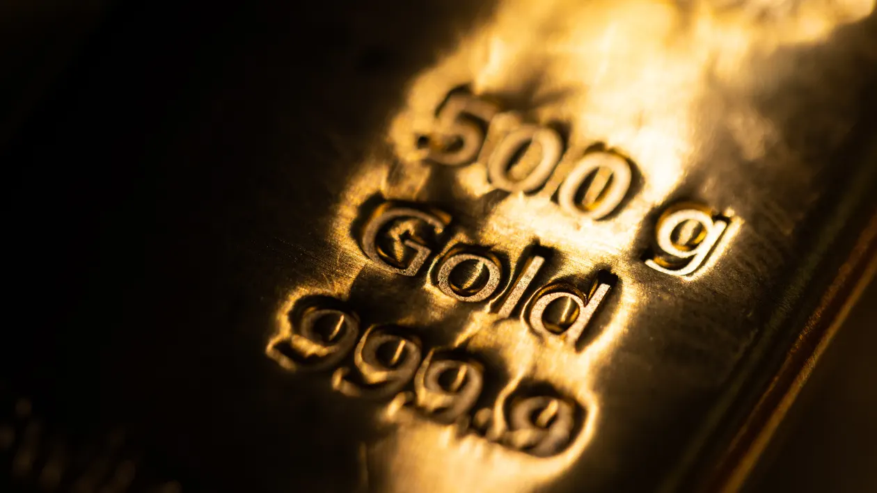 https://res.cloudinary.com/dzvyafhg1/image/upload/v1744771016/investortrust-bucket/images/1744771025238.webp