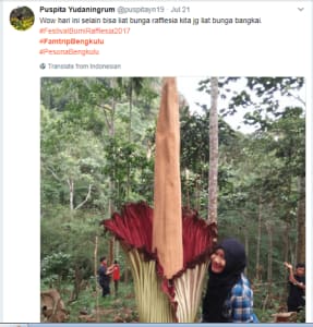 Bunga Bangkai @puspitayn19
