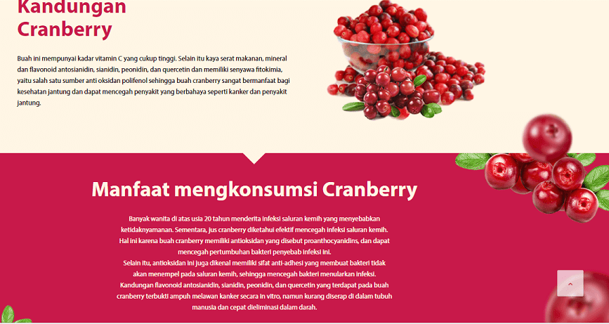 Manfaat Cranberry