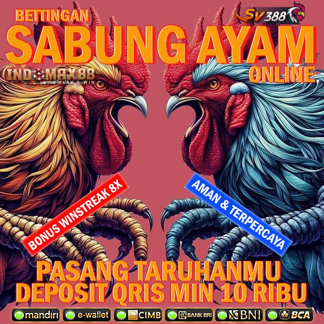 sabung ayam online