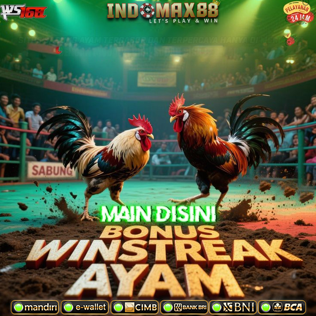 SV388 🐔 Link Daftar Agen Resmi Sabung Ayam Online 24Jam Bonus Kemenangan Terbesar