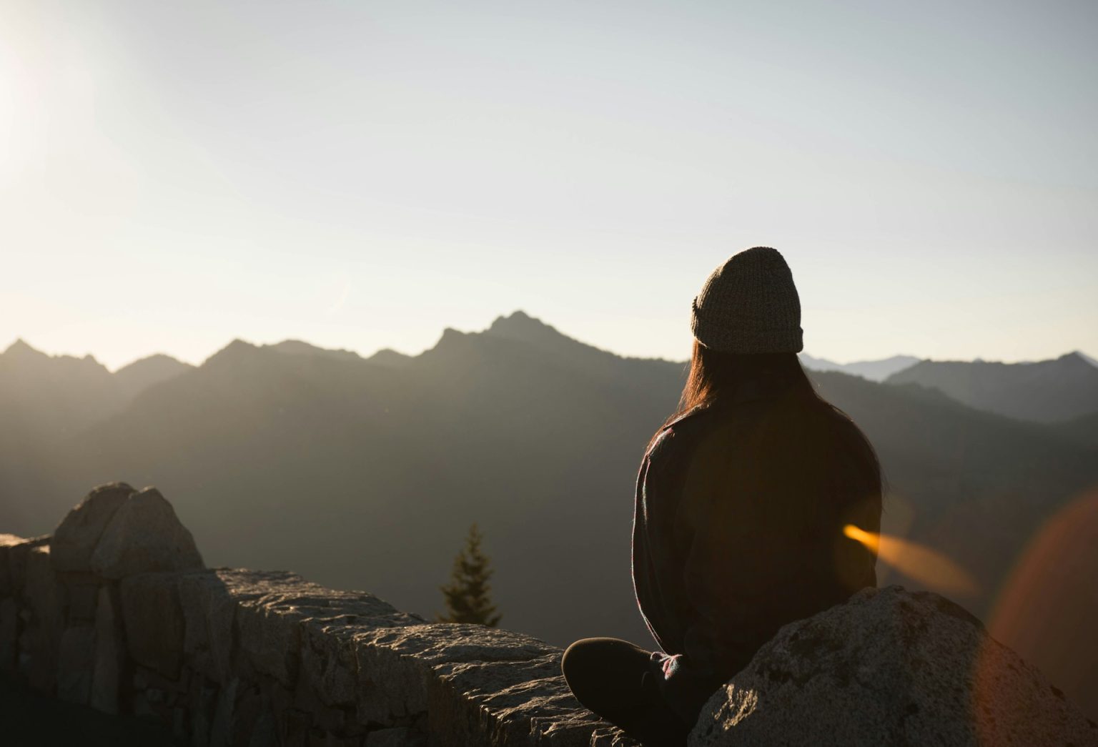 embracing zen koans 