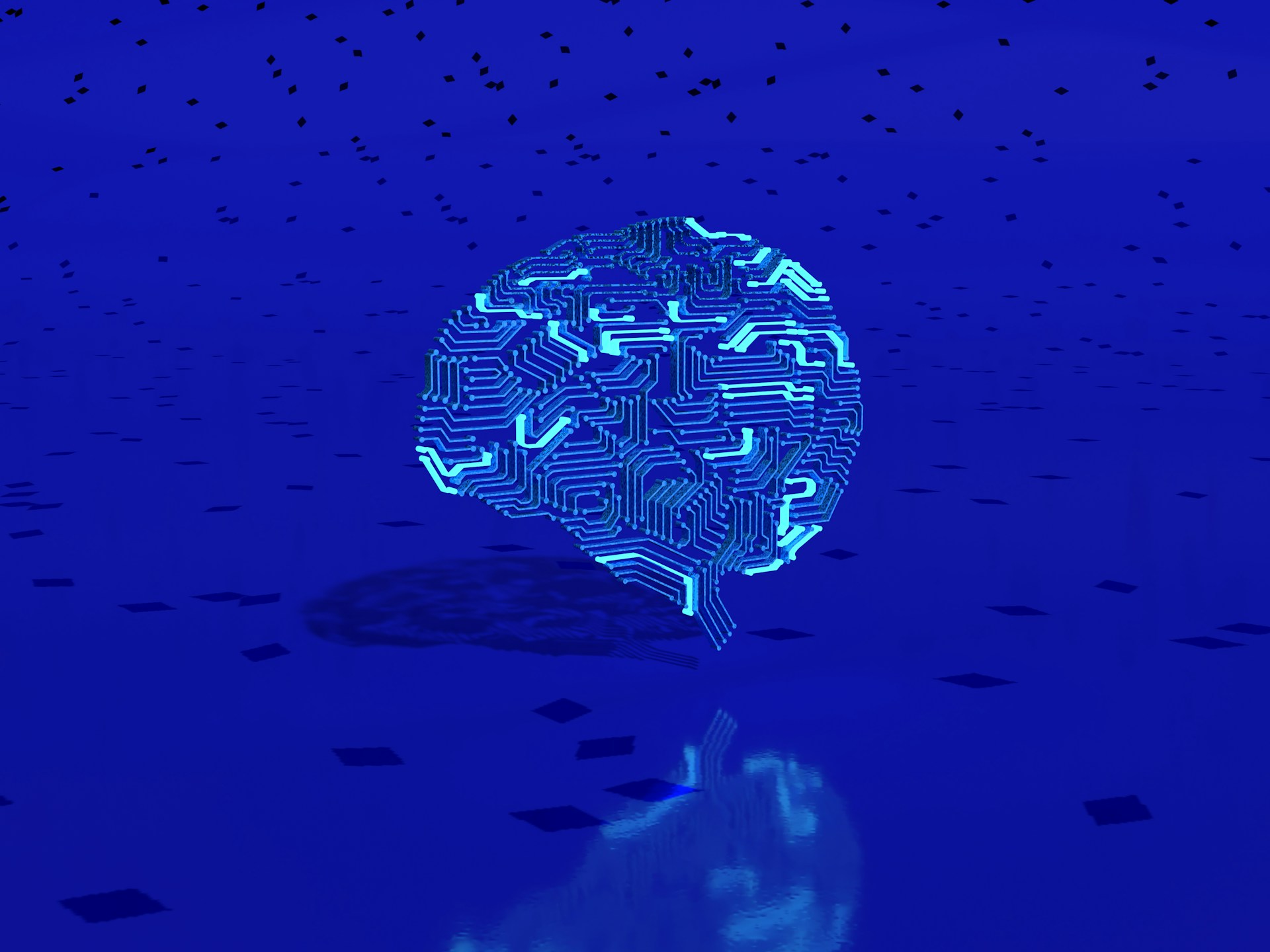 ADHD brain