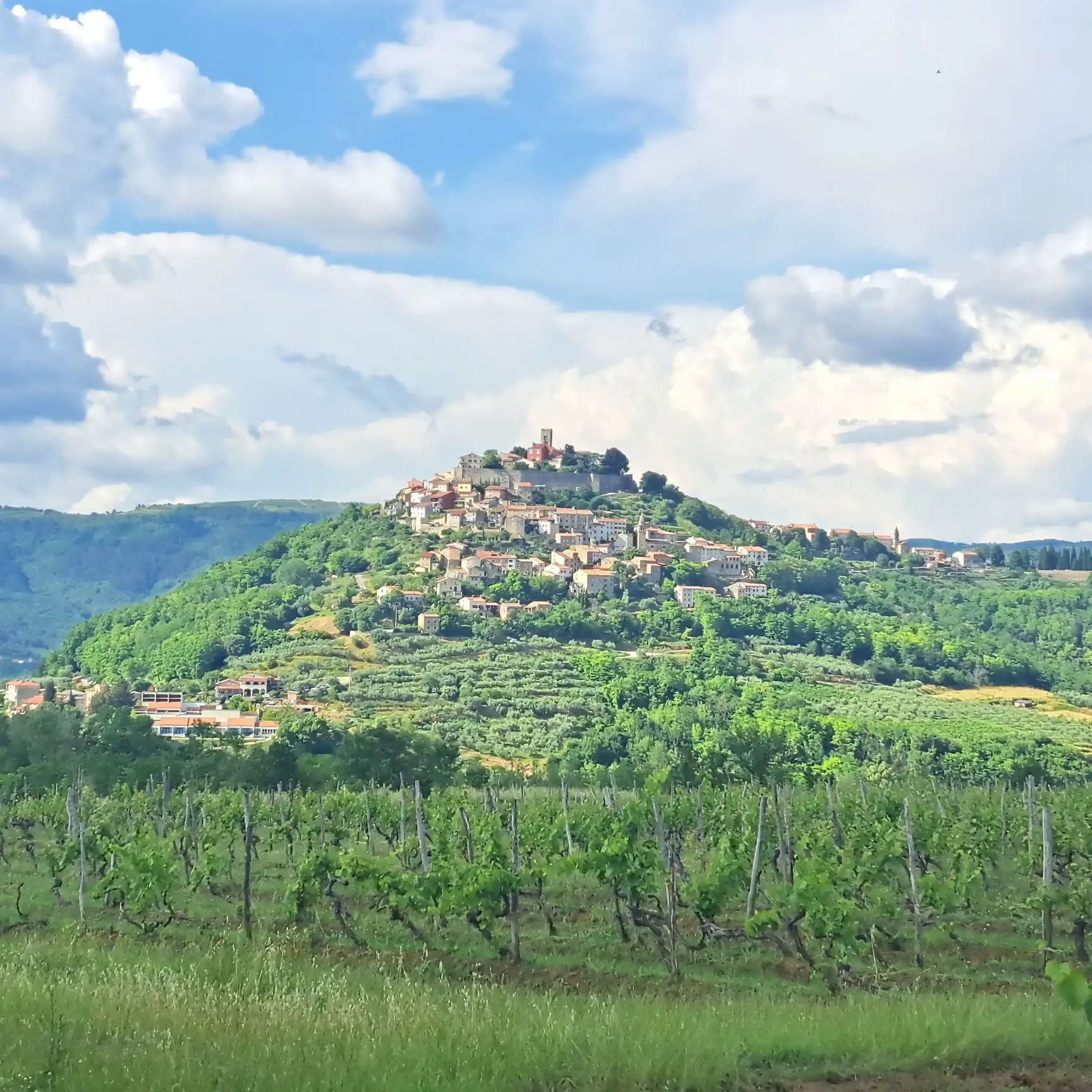 Motovun, Croatia