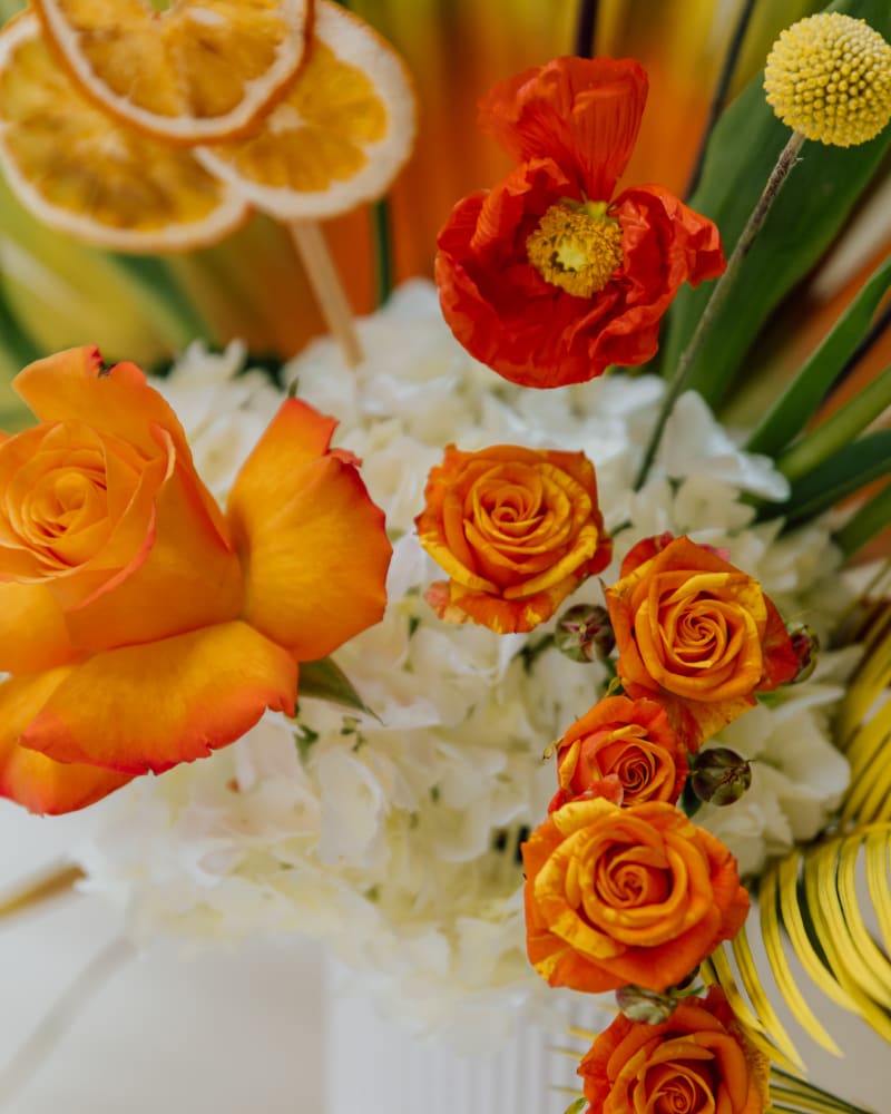 citrus burst details