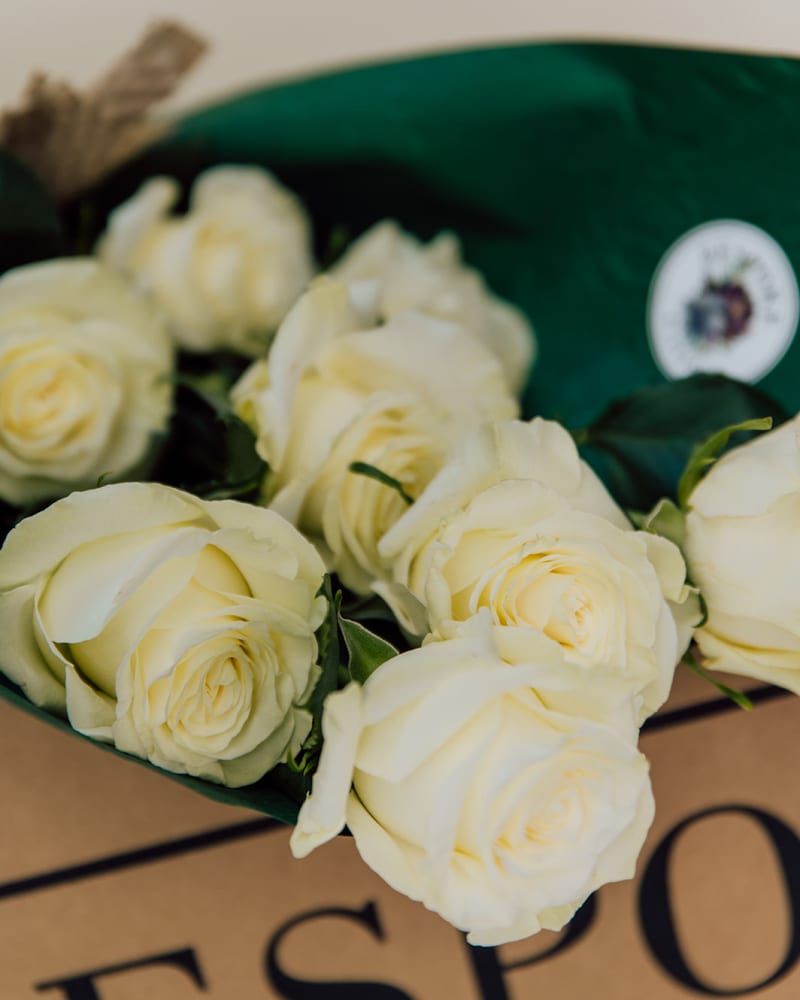 Close up of Roses