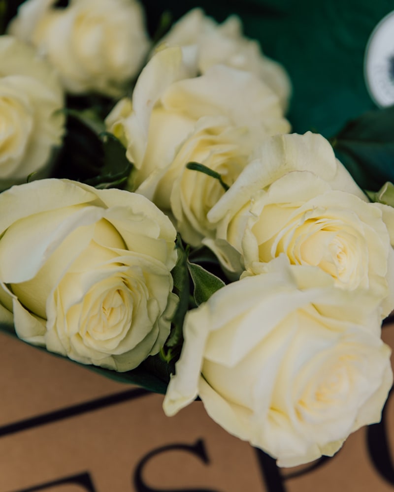 Close up of roses for Abundance Box
