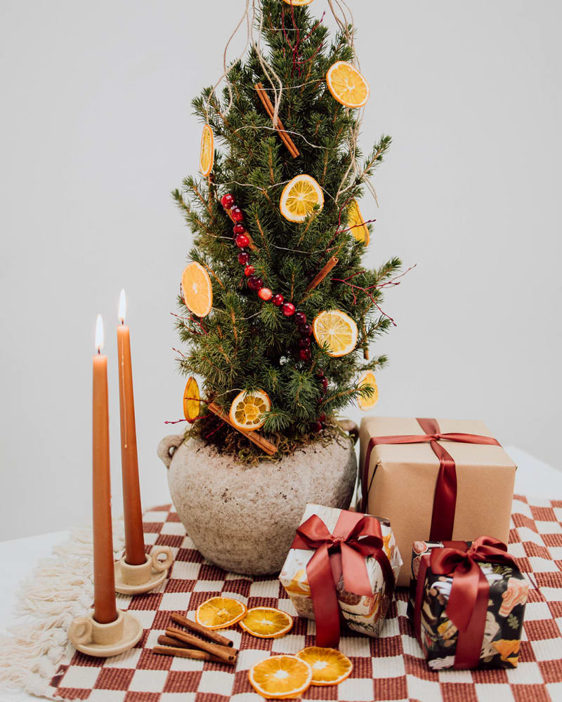 Decorated Spruce with cinnamon and orange slices 