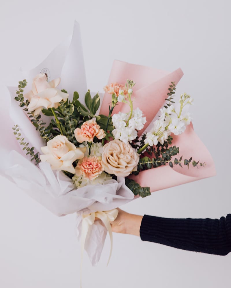 pink and white flowers 