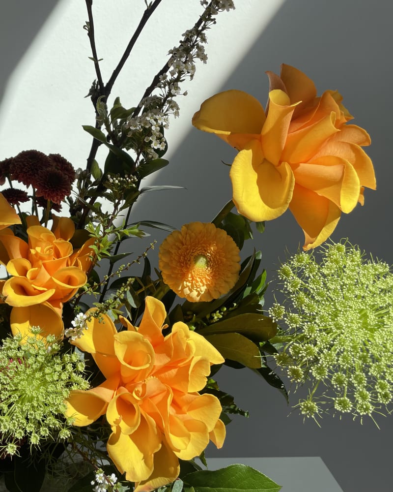 yellow flowers