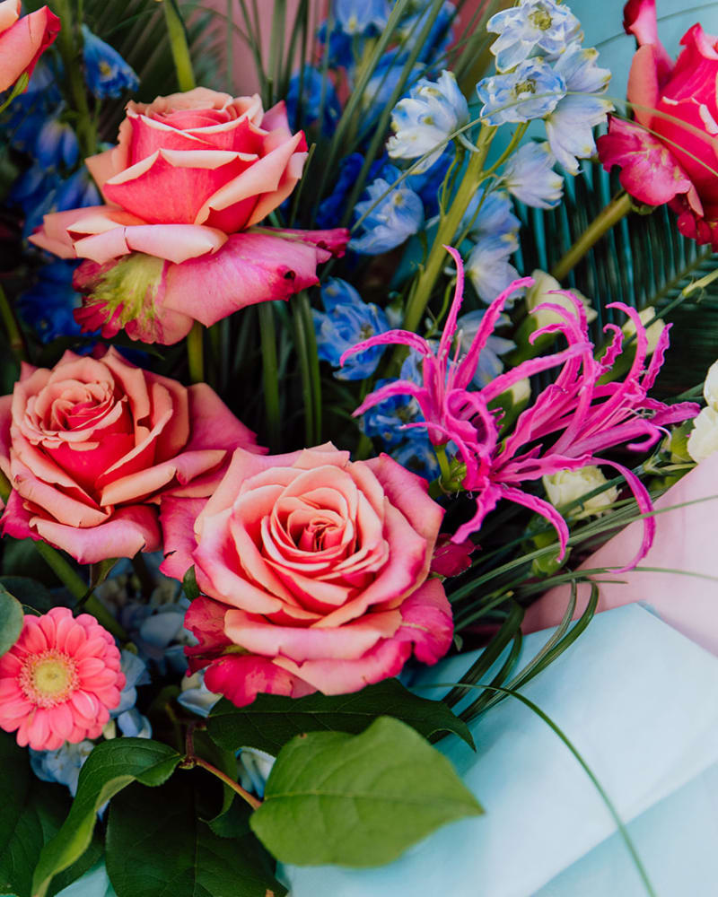 close up of roses 