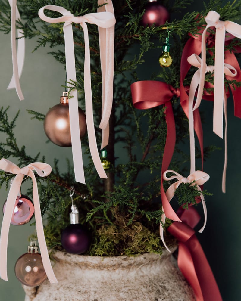 pot with tree and ribbons 