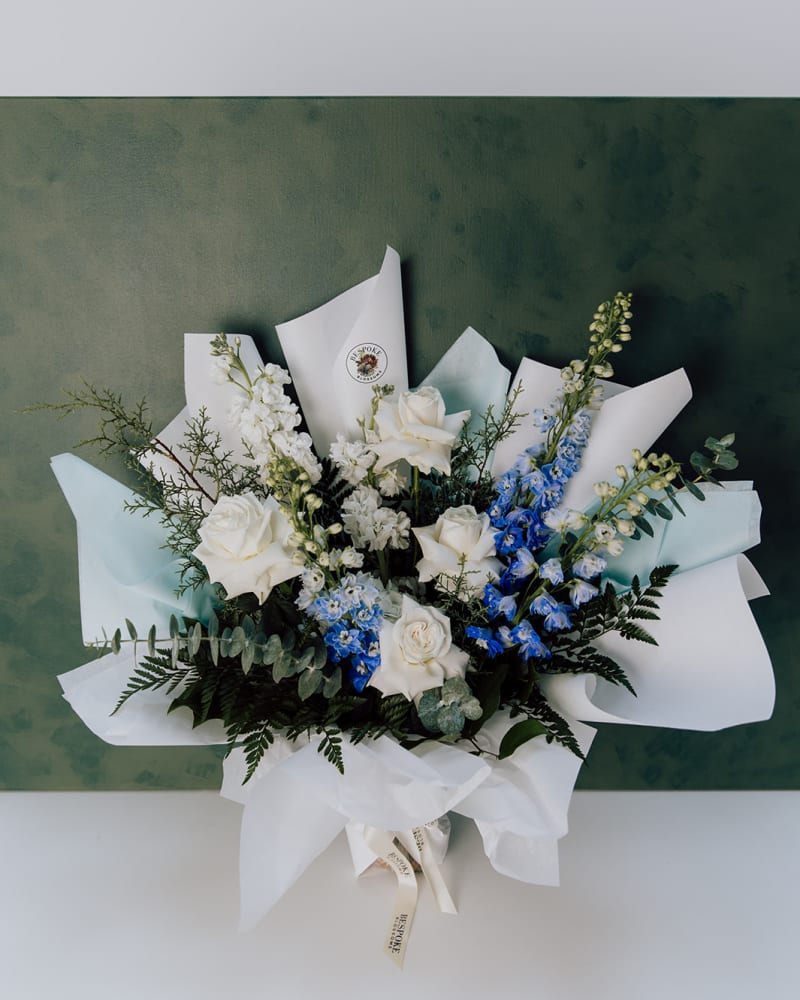 cerulean winter