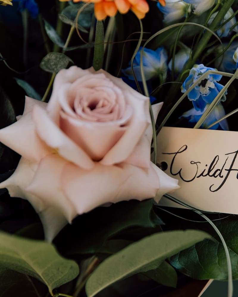close up of tag saying wild heart 