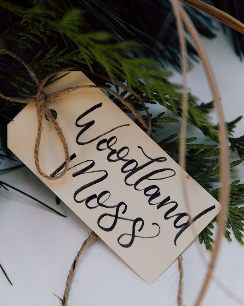 tag of woodland moss