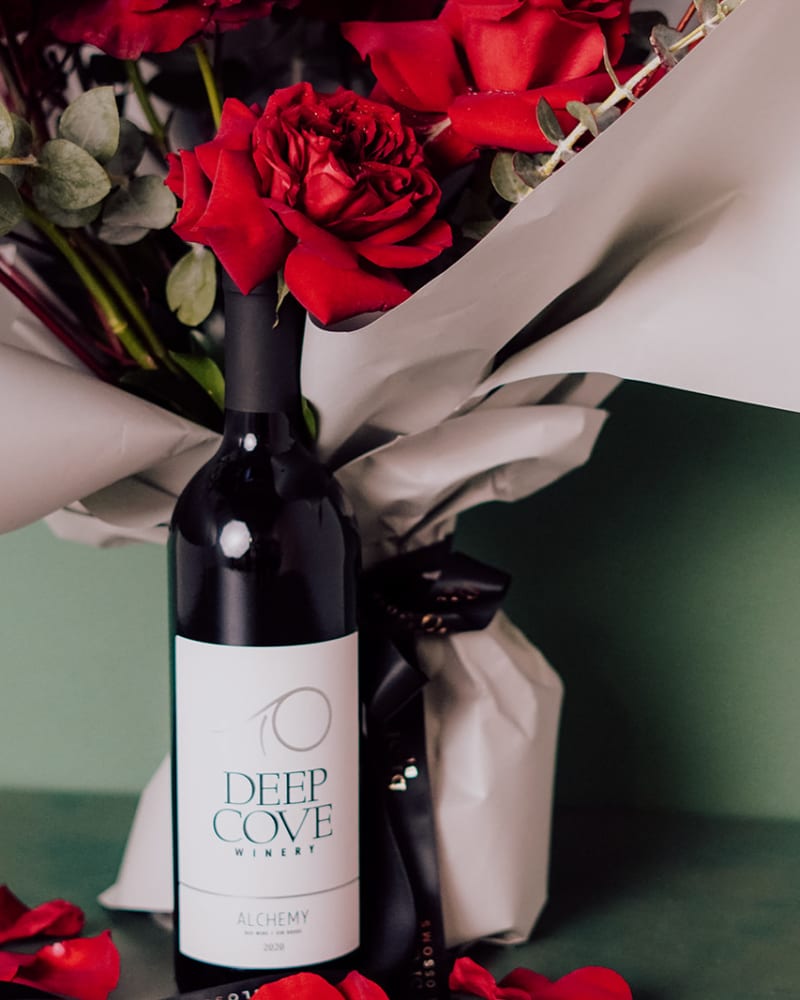 Vino & Velvet