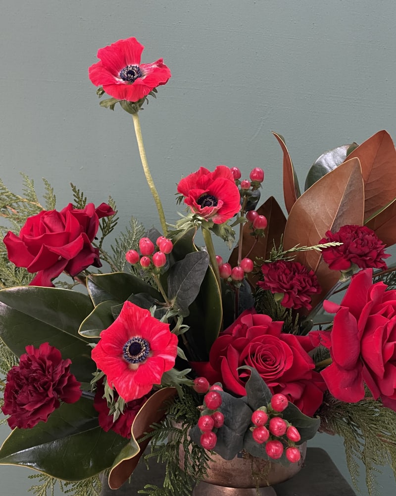 red flowers close up