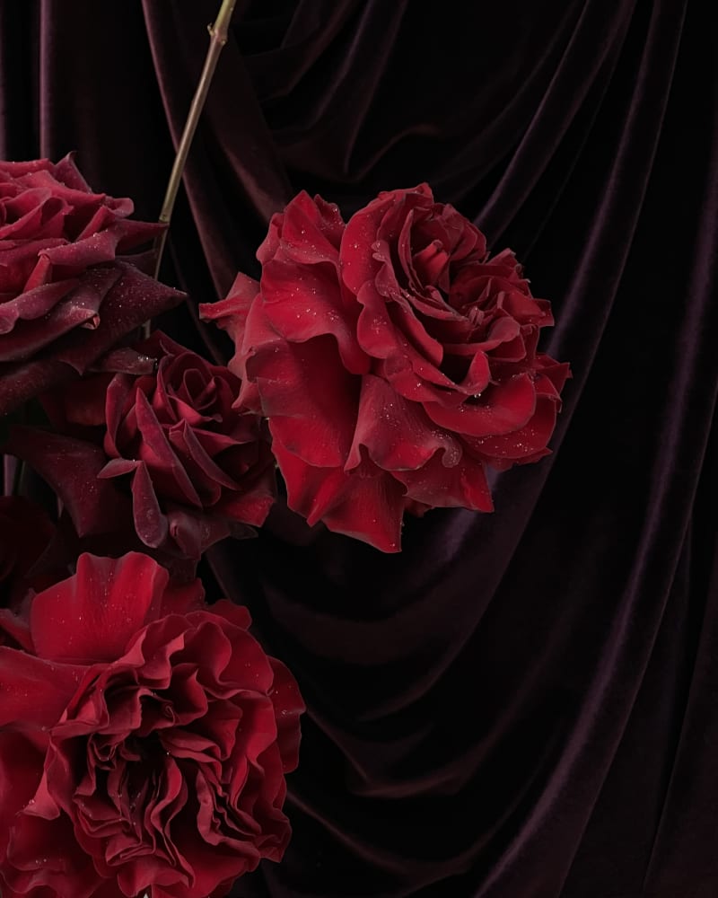 roses