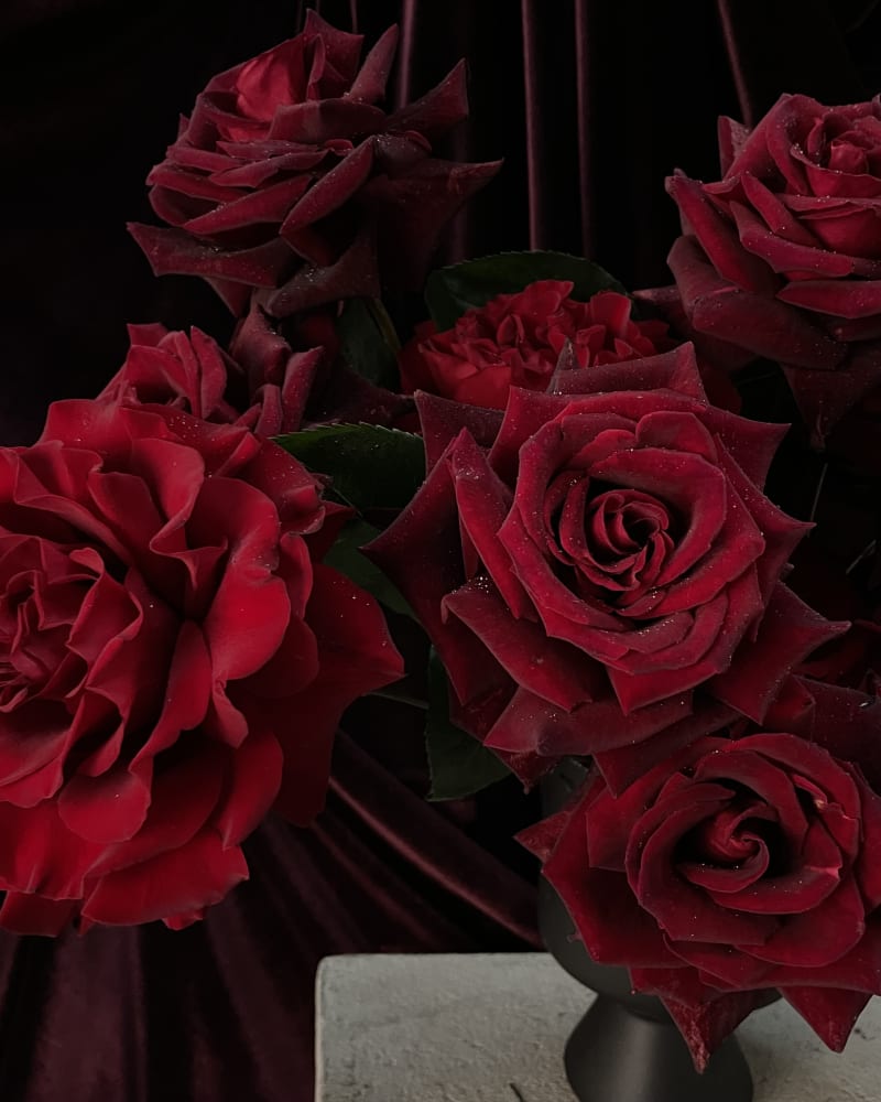 roses