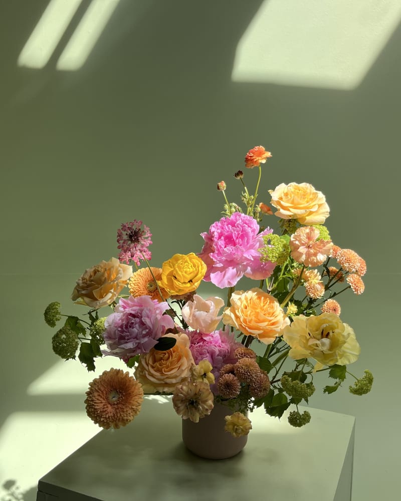 Soft pastel tones of blush pink, buttery yellow, warm apricot