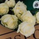 Close up of roses for Abundance Box 